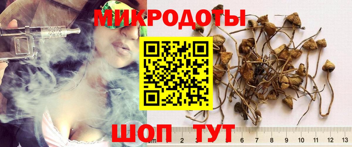 Галлюциногенные грибы мухоморы Джанкой
