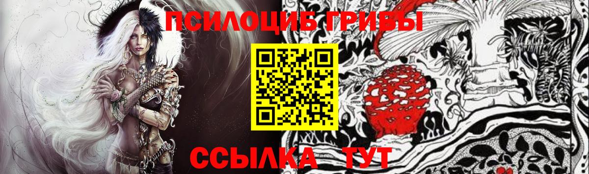 Джанкой  Псилоцибиновые грибы MAGIC MUSHROOMS  Галлюциногенные грибы Psilocybe  Вход с VPN 
